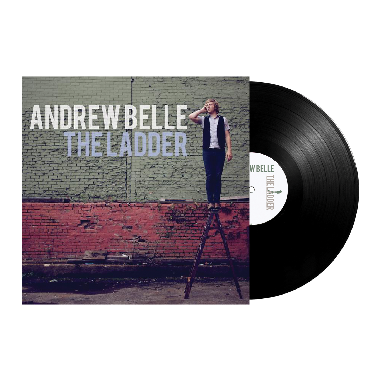 The Ladder (Vinyl)
